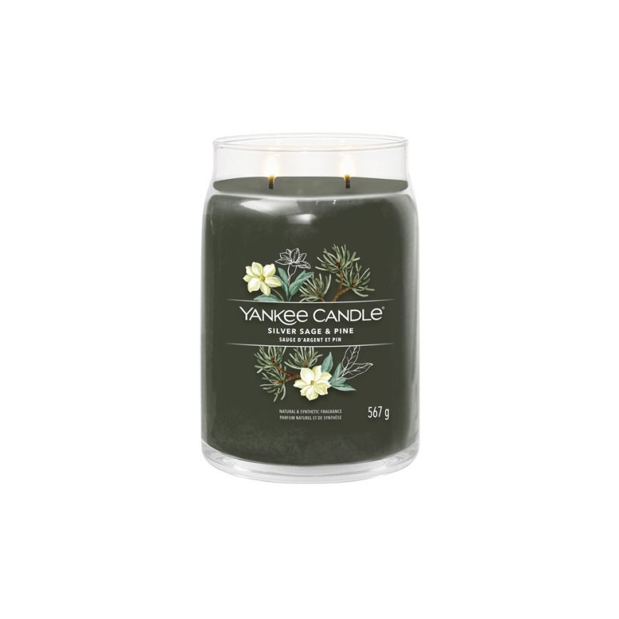 Yankee Candle - Große Duftkerze SILVER SAGE & PINE 567 g 60-90 Std.