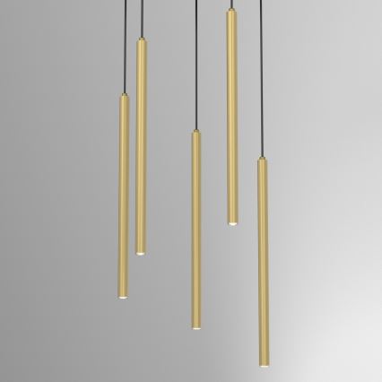 YORU Hängeleuchte an Kabel, 8xG9/8W/230V, Messing