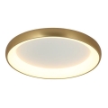 Zambelis 2050 - LED dimmbares Deckenleuchte LED/50W/230V Ø 60 cm gold