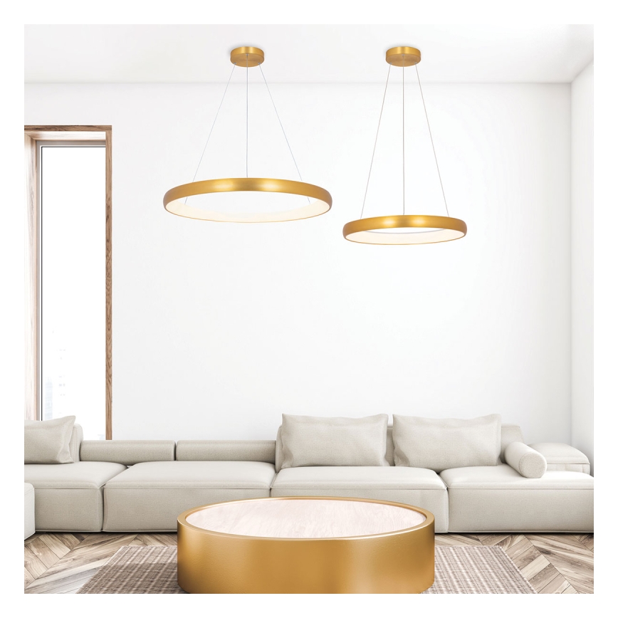Zambelis 2054 - Dimmbare LED-Hängeleuchte an Schnur LED/50W/230V d 60 cm golden