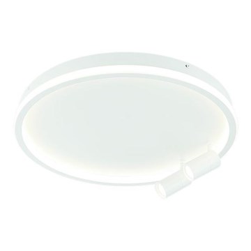 Zambelis 22015 - LED dimmbares Deckenleuchte LED/71W/230V weiß