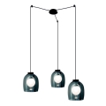 Zambelis 22145 - Hängeleuchte 3xG9/5W/230V Spinne schwarz