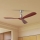 ZEVENTI - Deckenventilator LIONI Wi-Fi Tuya mattchrom/Eiche + Fernbedienung