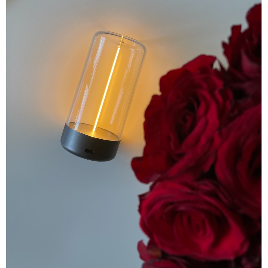Zuma Line - LED dimmbare wiederaufladbare Tischlampe LED/0,5W/230V schwarz IP54