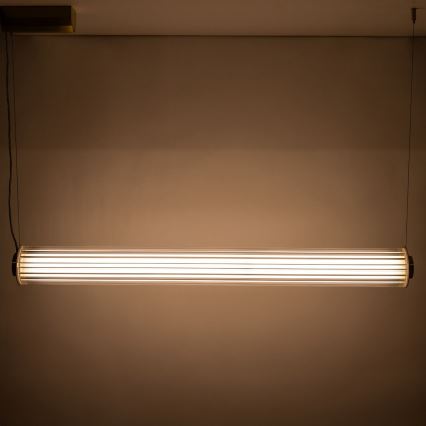 Zuma Line - LED-dimmbarer Pendelleuchter an Kabel LED/39W/230V 2700-6500K gold + Fernbedienung