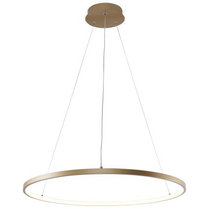 Zuma Line - LED-Hängeleuchte an Schnur LED/28W/230V 3000/4000/6000K d 60 cm golden