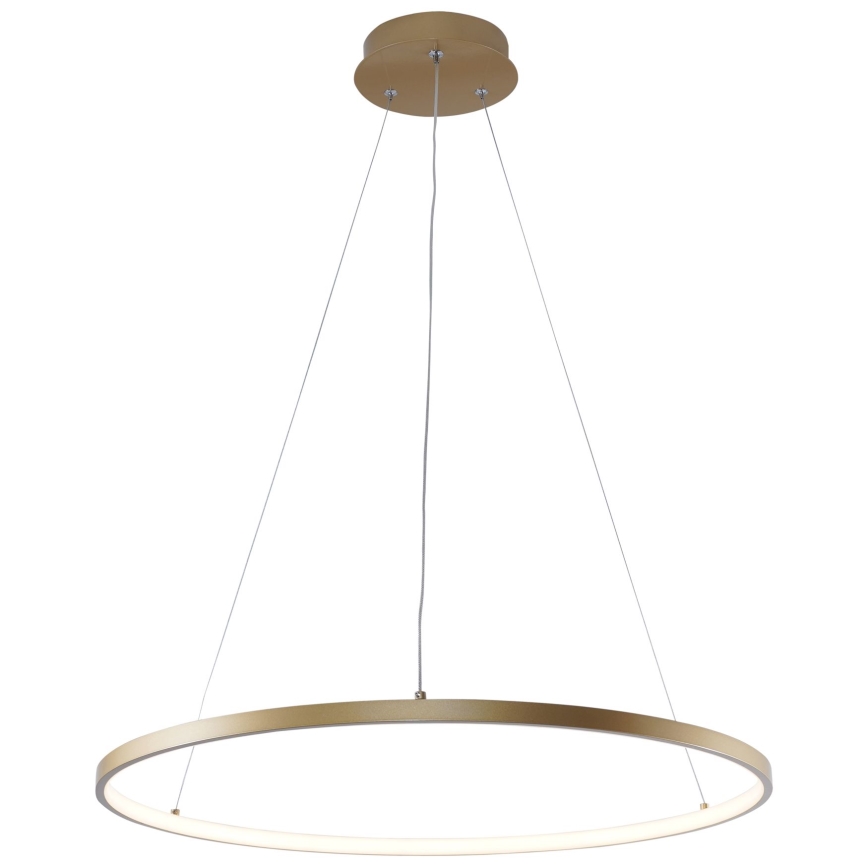 Zuma Line - LED-Hängeleuchte an Schnur LED/28W/230V 3000/4000/6000K d 60 cm golden
