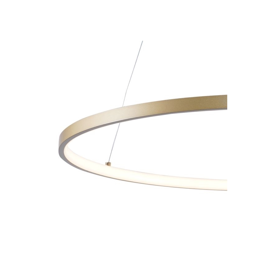 Zuma Line - LED-Hängeleuchte an Schnur LED/28W/230V 3000/4000/6000K d 60 cm golden