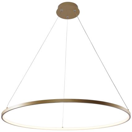 Zuma Line - LED Kronleuchter an Kabel LED/36W/230V 3000/4000/6000K Ø 80 cm gold
