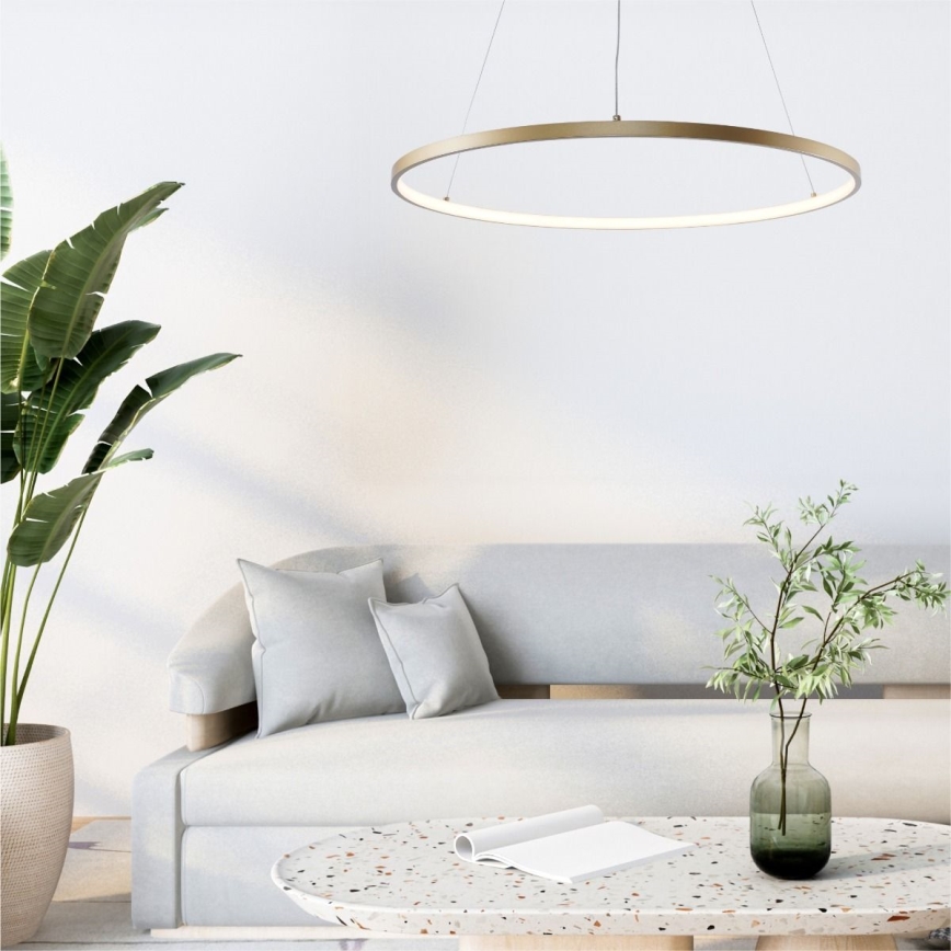 Zuma Line - LED Kronleuchter an Kabel LED/36W/230V 3000/4000/6000K Ø 80 cm gold