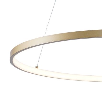 Zuma Line - LED Kronleuchter an Kabel LED/36W/230V 3000/4000/6000K Ø 80 cm gold
