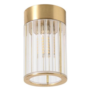 Zuma Line - Deckenstrahler 1xG9/6W/230V goldfarben