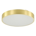 Zuma Line - Dimmbare LED-Deckenleuchte für Badezimmer LED/36W/230V 3000-6000K d 40 cm IP44 golden + Fernbedienung