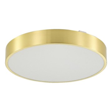 Zuma Line - Dimmbare LED-Deckenleuchte für Badezimmer LED/36W/230V 3000-6000K d 40 cm IP44 golden + Fernbedienung