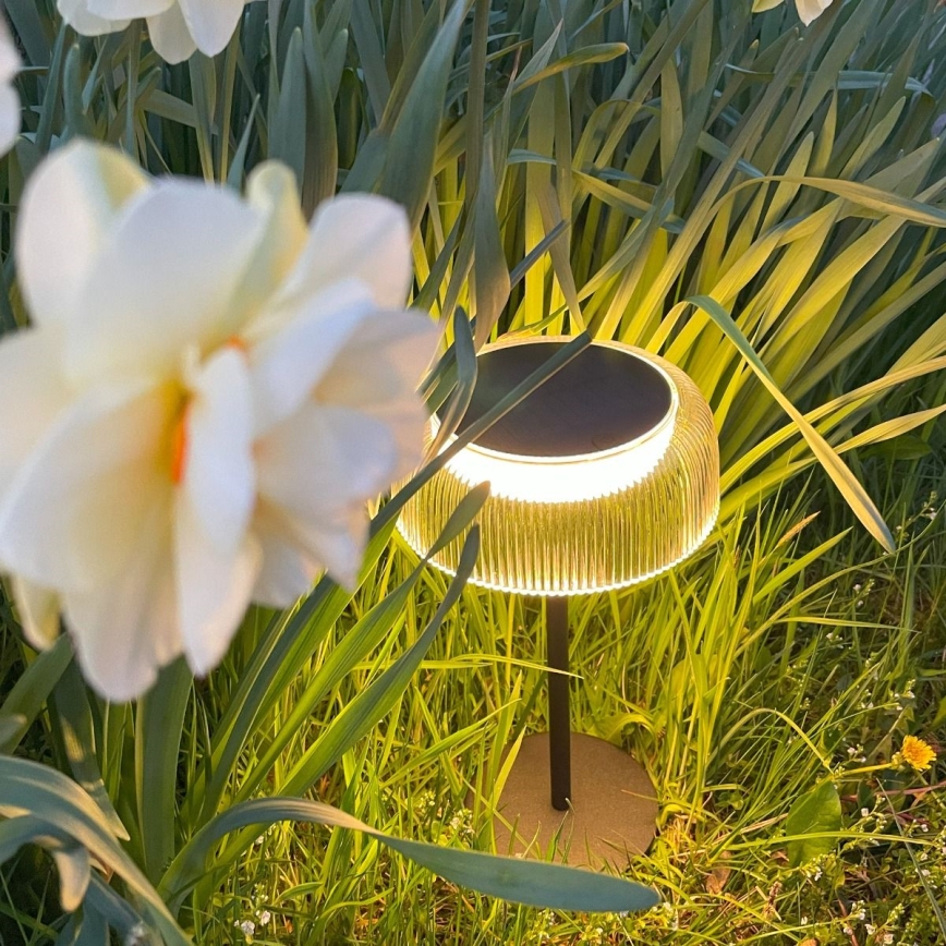 Zuma Line - Dimmbare, aufladbare LED-Solar-Tischleuchte LED/2,5W/2000 mAh IP44 schwarz