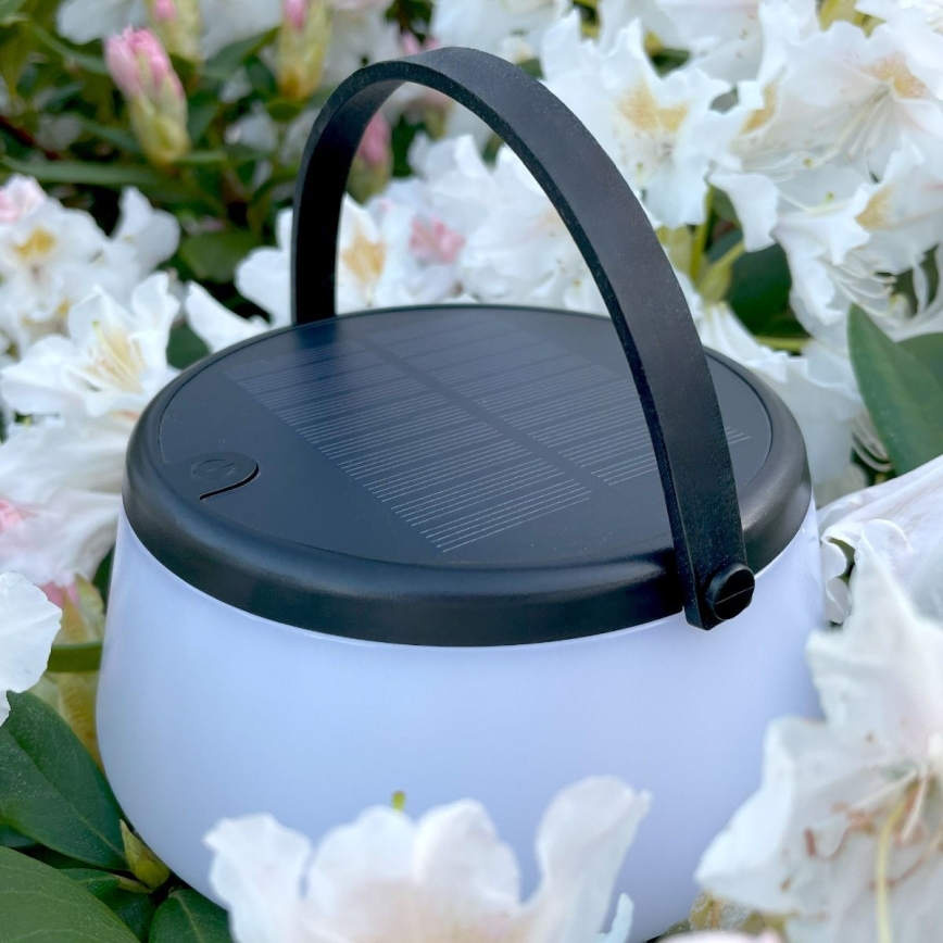 Zuma Line - Dimmbare, aufladbare Solar-Tischleuchte LED/2,2W/2000 mAh IP44 schwarz