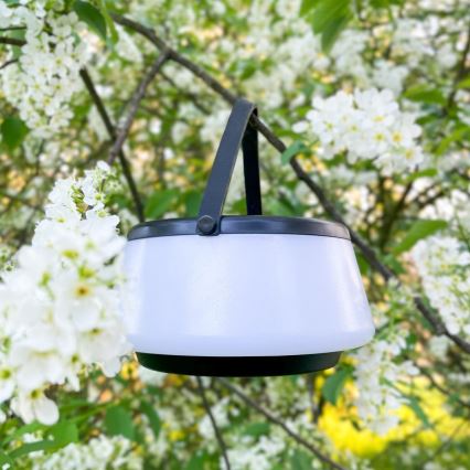 Zuma Line - Dimmbare, aufladbare Solar-Tischleuchte LED/2,2W/2000 mAh IP44 schwarz
