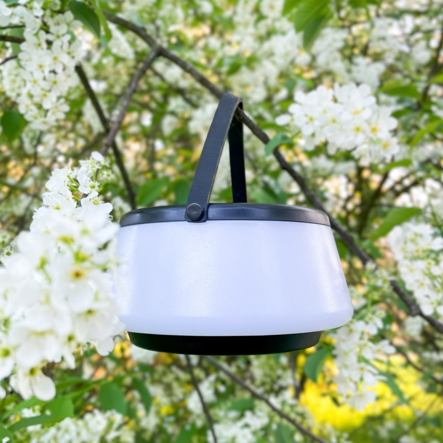 Zuma Line - Dimmbare, aufladbare Solar-Tischleuchte LED/2,2W/2000 mAh IP44 schwarz