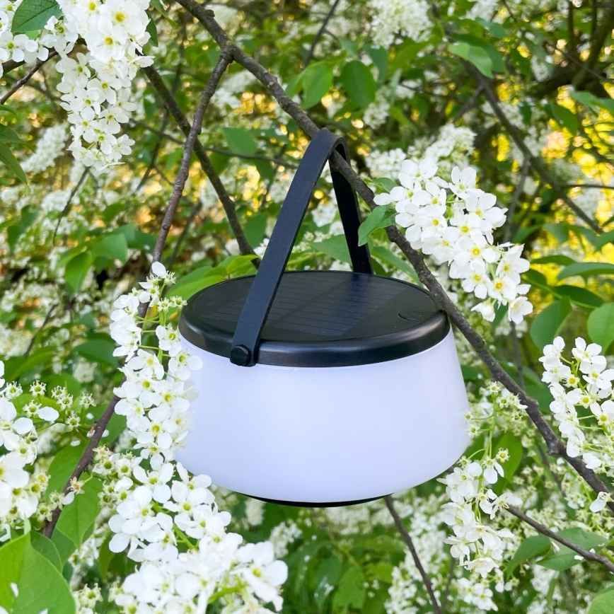 Zuma Line - Dimmbare, aufladbare Solar-Tischleuchte LED/2,2W/2000 mAh IP44 schwarz