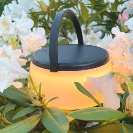 Zuma Line - Dimmbare, aufladbare Solar-Tischleuchte LED/2,2W/2000 mAh IP44 schwarz