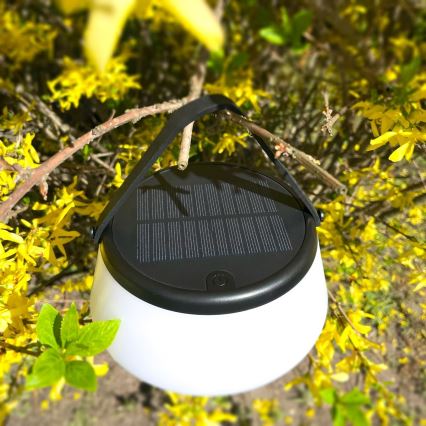 Zuma Line - Dimmbare, aufladbare Solar-Tischleuchte LED/2,2W/2000 mAh IP44 schwarz