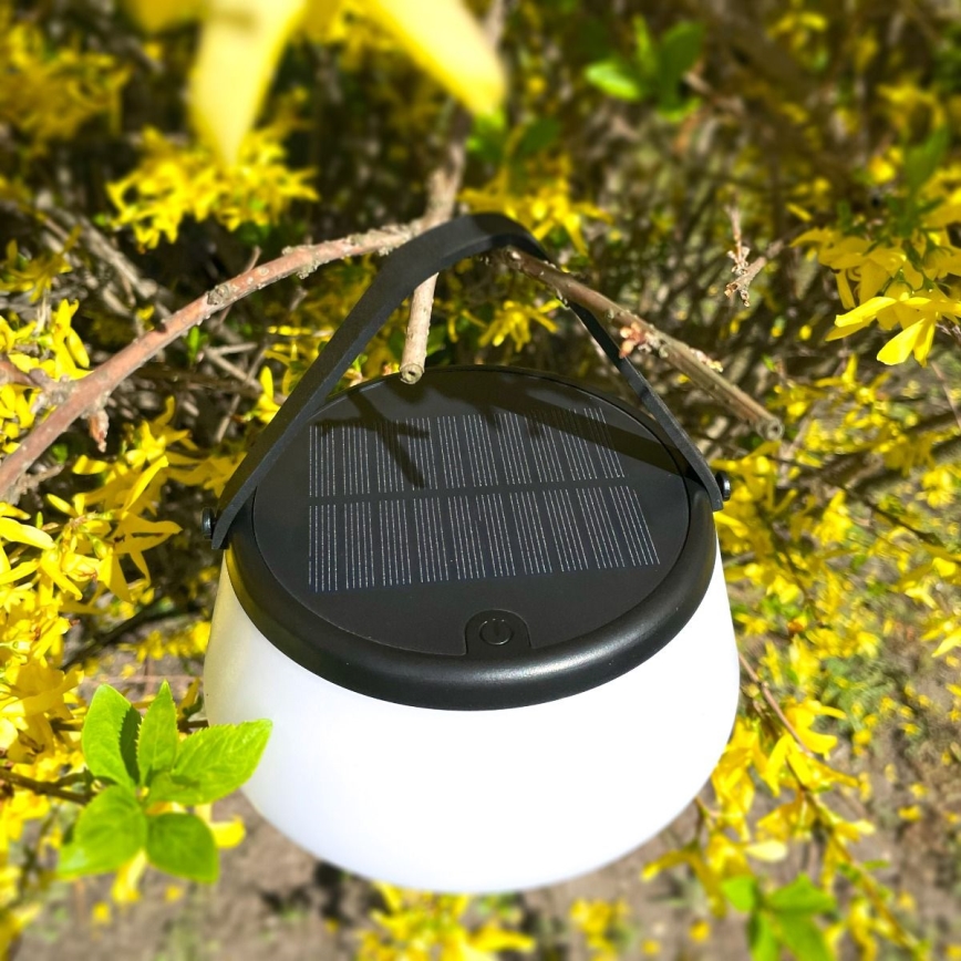 Zuma Line - Dimmbare, aufladbare Solar-Tischleuchte LED/2,2W/2000 mAh IP44 schwarz