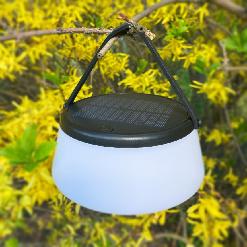 Zuma Line - Dimmbare, aufladbare Solar-Tischleuchte LED/2,2W/2000 mAh IP44 schwarz