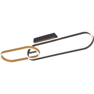 Zuma Line - LED Deckenleuchte 2xLED/24W/230V schwarz/gold