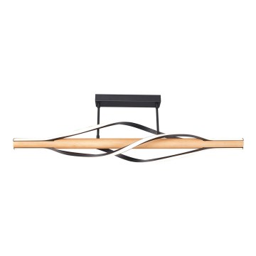 Zuma Line - LED-Deckenleuchte an Stange LED/30W/230V