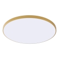 Zuma Line - LED-Deckenleuchte VERI LED/44W/230V Ø 47 cm goldfarben