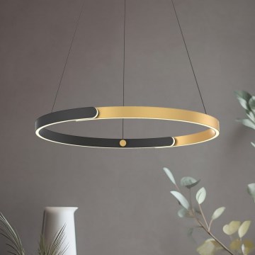 Zuma Line - LED dimmbare Hängeleuchte an Kabel LED/30W/230V schwarz/gold