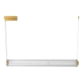 Zuma Line - LED-dimmbarer Pendelleuchter an Kabel LED/39W/230V 2700-6500K gold + Fernbedienung