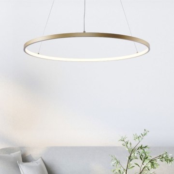 Zuma Line - LED Kronleuchter an Kabel LED/36W/230V 3000/4000/6000K Ø 80 cm gold