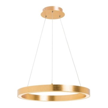 Zuma Line - LED-Pendelleuchte mit Kabelaufhängung LED/30W/230V 40 cm goldfarben