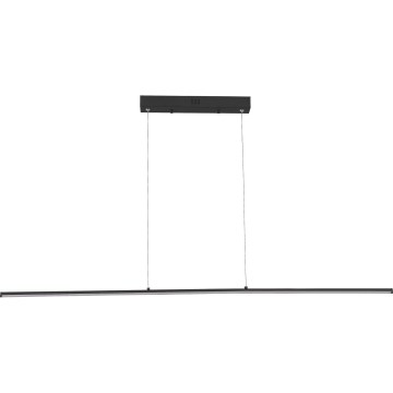 Zuma Line - LED-Pendelleuchte mit Seilaufhängung LED/20W/230V schwarz