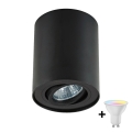 Zuma Line - LED RGBW dimmbarer Spot 1xGU10/4,8W/230V schwarz + Fernbedienung