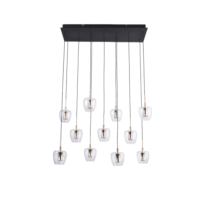 Zuma Line - LED Pendelleuchte an Stahlseil 11xLED/3W/230V schwarz