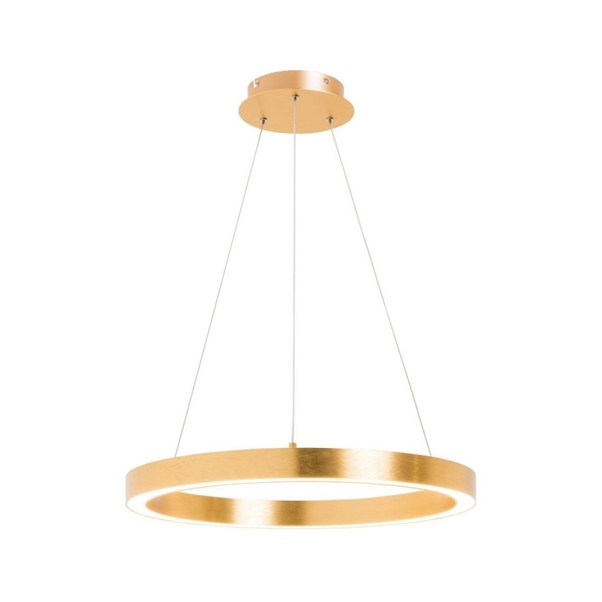 Zuma Line - LED-Kronleuchter an Schnur 1xLED/30W/230V 40 cm golden