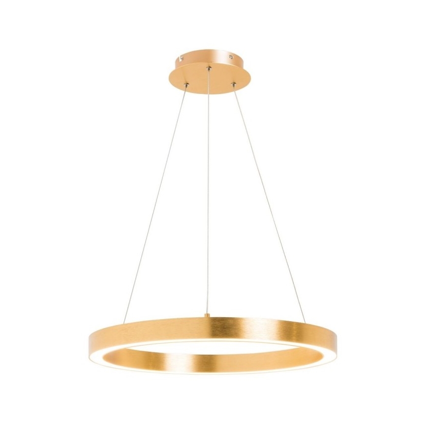 Zuma Line - LED-Kronleuchter an Schnur 1xLED/40W/230V d. 50 cm gold