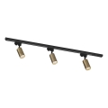 Zuma Line - Stufenlicht im System 3xGU10/35W/230V schwarz/bronze
